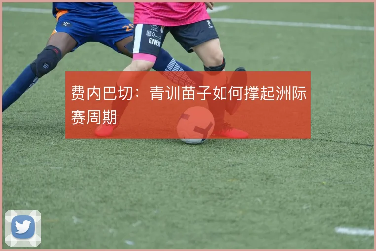 费内巴切：青训苗子如何撑起洲际赛周期