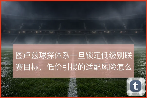 图卢兹球探体系一旦锁定低级别联赛目标,低价引援的适配风险怎么控